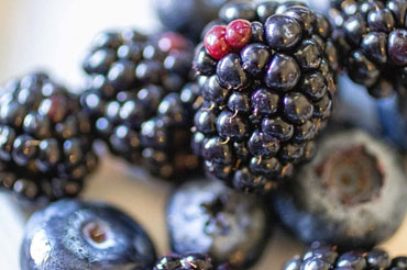 Blueberries and Blackberries