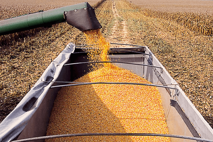grain being loaded into a truck