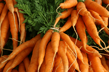 carrots