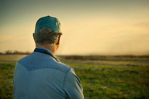A Virginia farmer looks out over his field
